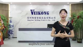 Explique que o custo do preço do VEIKONG VFD vem de